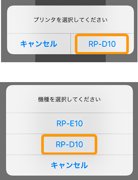 05 SII RP Utility ダイアログ RP-D10