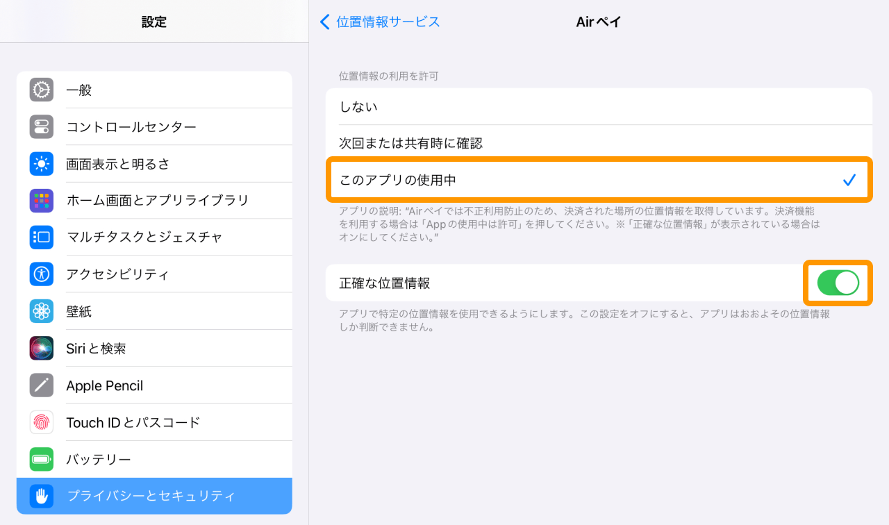 iPad 設定 プライバシーとセキュリティ 位置情報サービス Airペイ 正確な位置情報